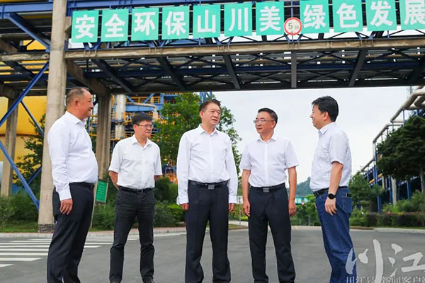 杨林兴：把新型工业化摆在更加突出的位置，让“四化同步”发展的主引擎作用更加凸显